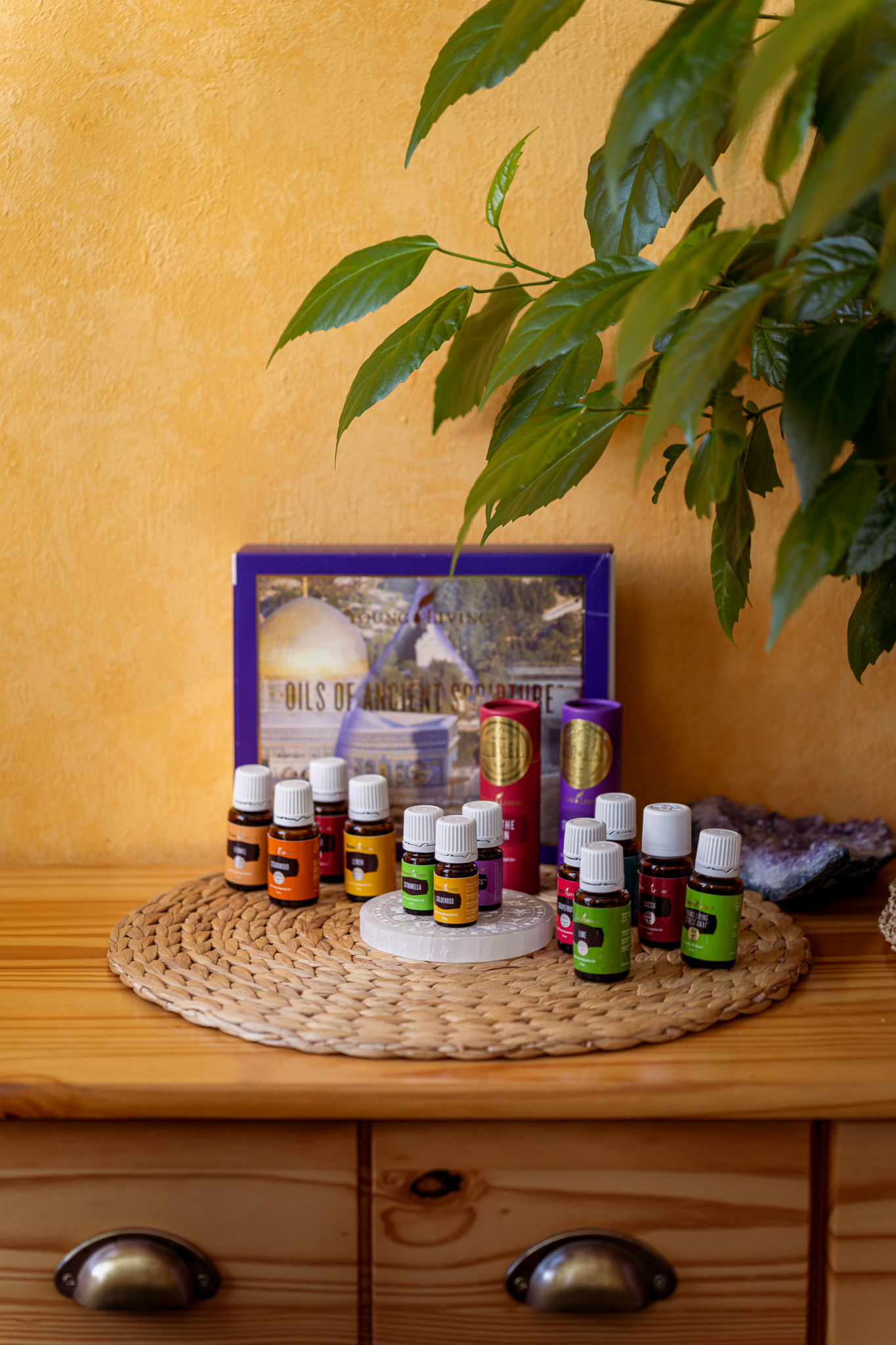 GONGOVÁNÍ V PRAZE STUDIO DAYAL